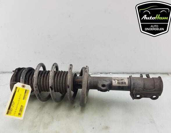 Shock Absorber FIAT DOBLO Cargo (263_), FIAT DOBLO MPV (263_)