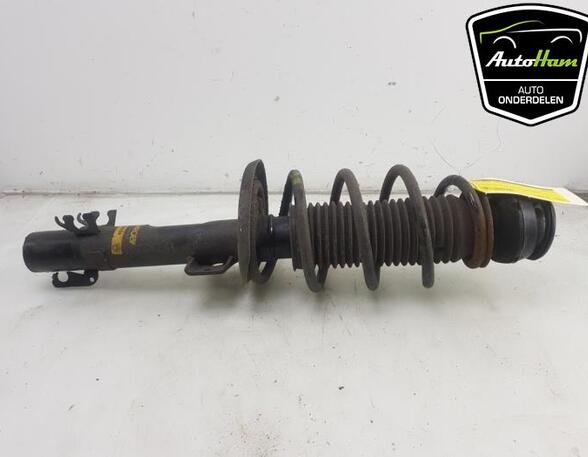 Shock Absorber SEAT IBIZA IV (6J5, 6P1), SEAT IBIZA IV SC (6J1, 6P5)