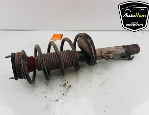 Shock Absorber FORD TRANSIT CONNECT (P65_, P70_, P80_), FORD TRANSIT CUSTOM V362 Van (FY, FZ)