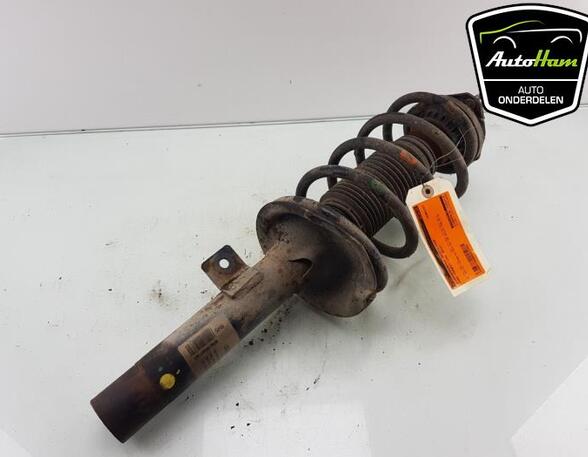 Shock Absorber FORD TRANSIT CONNECT (P65_, P70_, P80_), FORD TRANSIT CUSTOM V362 Van (FY, FZ)