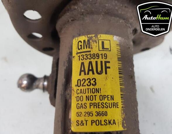 Shock Absorber OPEL ZAFIRA TOURER C (P12)