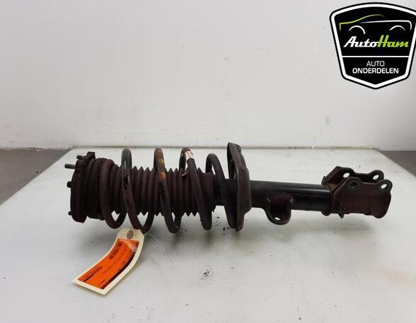 Shock Absorber FIAT DOBLO Cargo (263_), FIAT DOBLO MPV (263_), FIAT DOBLO Platform/Chassis (263_)