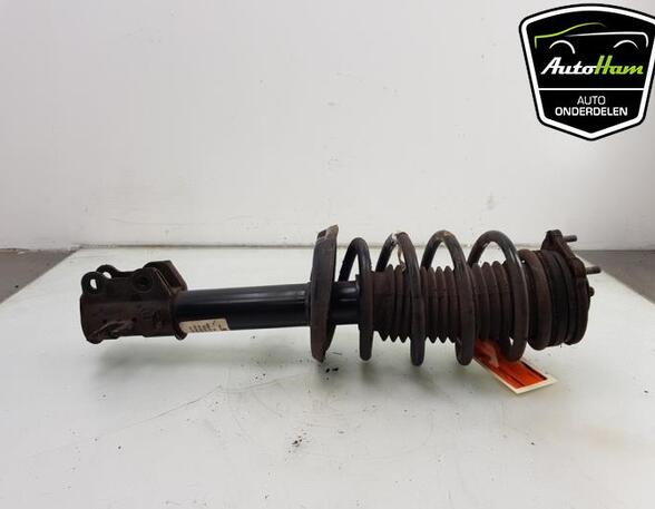 Shock Absorber FIAT DOBLO Cargo (263_), FIAT DOBLO MPV (263_), FIAT DOBLO Platform/Chassis (263_)