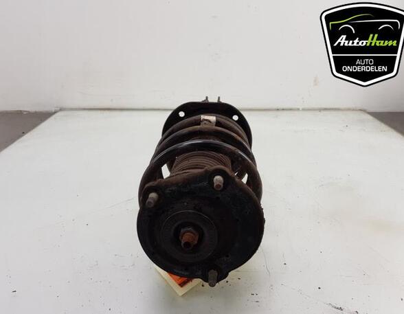 Shock Absorber FIAT DOBLO Cargo (263_), FIAT DOBLO MPV (263_), FIAT DOBLO Platform/Chassis (263_)