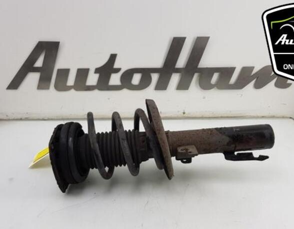 Shock Absorber RENAULT MEGANE III Coupe (DZ0/1_)