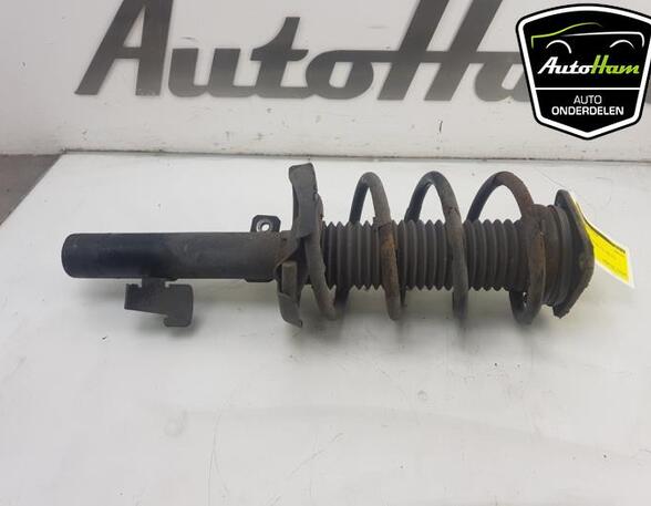 Shock Absorber FORD FOCUS II Turnier (DA_, FFS, DS)