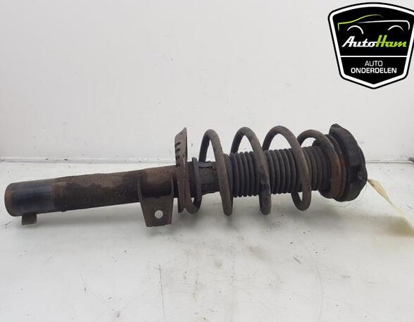 Shock Absorber VW GOLF VI (5K1)