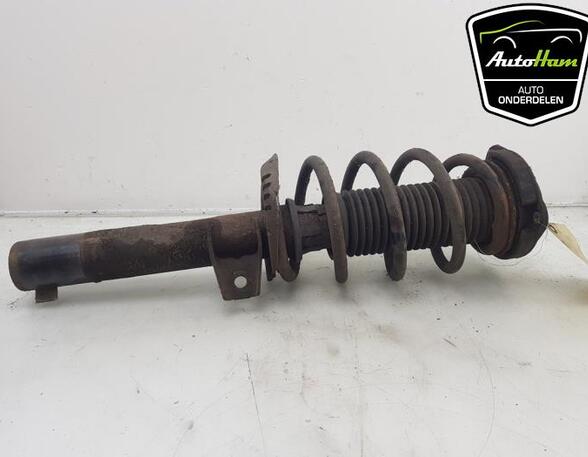 Shock Absorber VW GOLF VI (5K1)