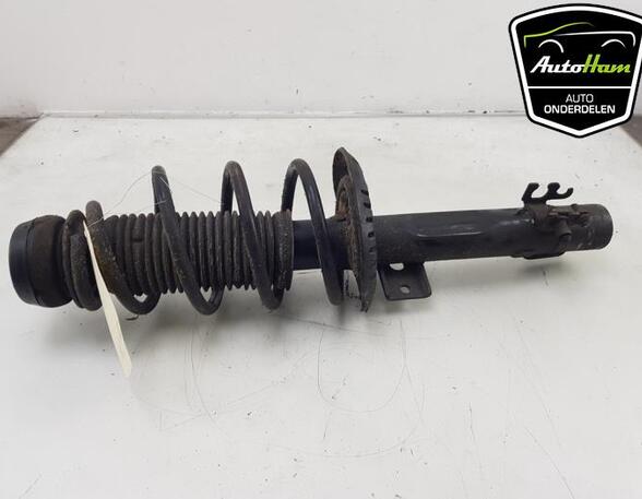 Shock Absorber SEAT IBIZA IV (6J5, 6P1), SEAT IBIZA IV SC (6J1, 6P5), VW POLO (6R1, 6C1), VW POLO Van (6R)