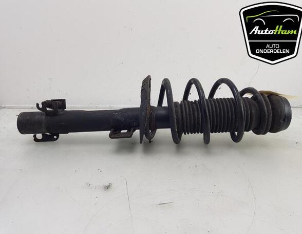 Shock Absorber SEAT IBIZA IV (6J5, 6P1), SEAT IBIZA IV SC (6J1, 6P5), VW POLO (6R1, 6C1), VW POLO Van (6R)