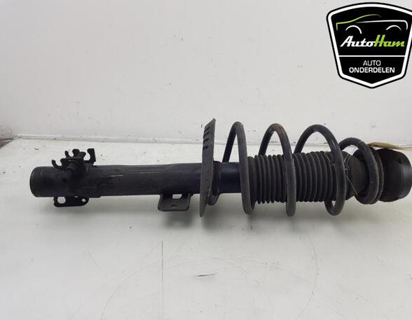 Shock Absorber SEAT IBIZA IV (6J5, 6P1), SEAT IBIZA IV SC (6J1, 6P5), VW POLO (6R1, 6C1), VW POLO Van (6R)