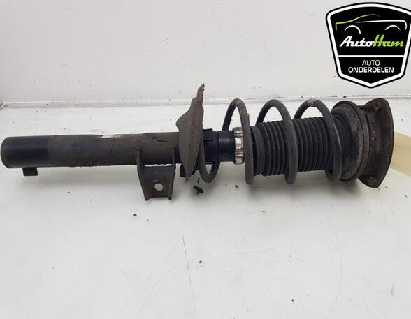 Shock Absorber SEAT LEON ST (5F8), SEAT LEON (5F1), SEAT LEON SC (5F5)