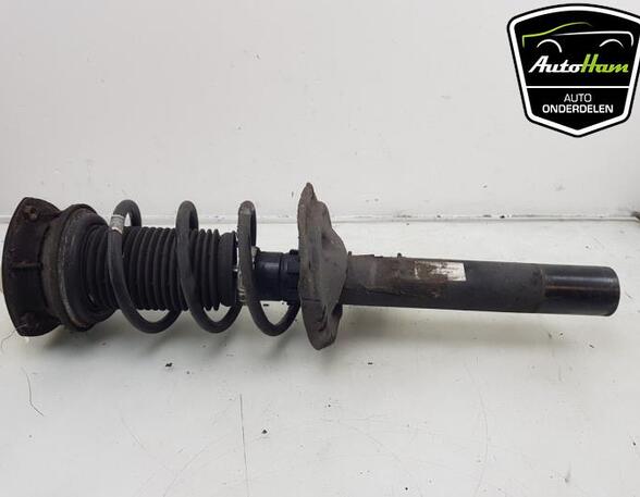 Shock Absorber SEAT LEON ST (5F8), SEAT LEON (5F1), SEAT LEON SC (5F5)