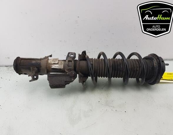 Shock Absorber FORD FIESTA VII (HJ, HF)