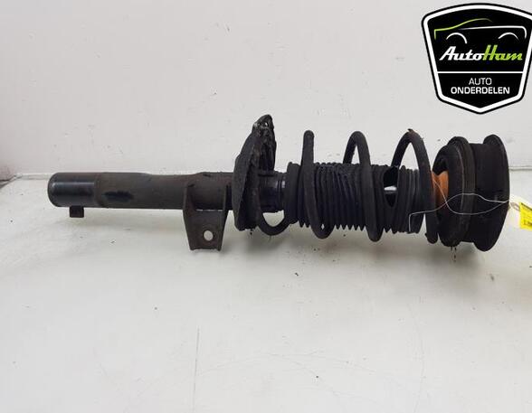 Shock Absorber SEAT LEON ST (5F8), SEAT LEON (5F1), SEAT LEON SC (5F5)