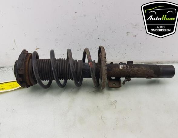 Shock Absorber VW POLO (9N_)