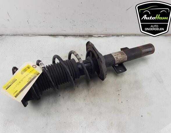 Shock Absorber VW POLO (AW1, BZ1)