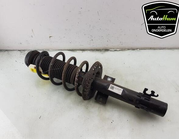 Shock Absorber SKODA FABIA III Estate (NJ5), SKODA RAPID Spaceback (NH1), SKODA RAPID (NH3, NK3, NK6)