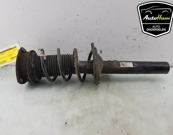 Shock Absorber SEAT LEON (5F1), SEAT LEON SC (5F5), SEAT LEON ST (5F8)