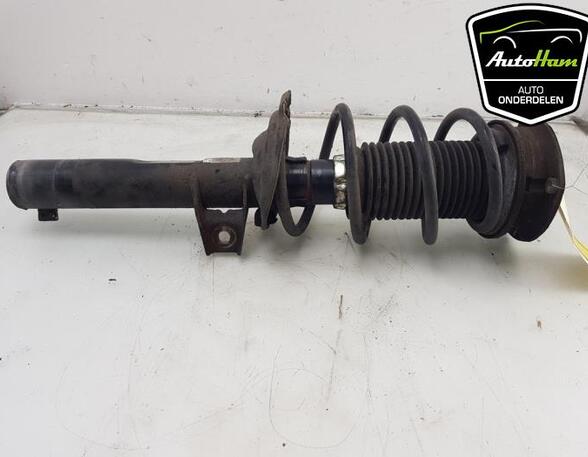 Shock Absorber SKODA OCTAVIA III Combi (5E5, 5E6)