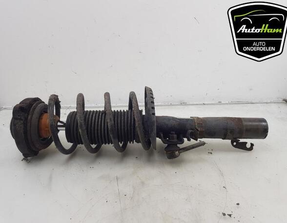 Shock Absorber VW FOX Hatchback (5Z1, 5Z3, 5Z4), SEAT CORDOBA (6L2), SEAT IBIZA III (6L1)