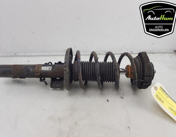 Shock Absorber VW FOX Hatchback (5Z1, 5Z3, 5Z4), SEAT CORDOBA (6L2), SEAT IBIZA III (6L1)