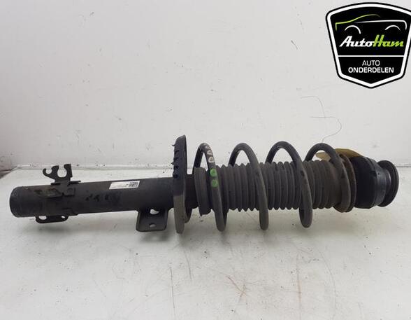 Shock Absorber VW POLO (6R1, 6C1), VW POLO Van (6R), SEAT IBIZA IV (6J5, 6P1), SEAT IBIZA IV SC (6J1, 6P5)