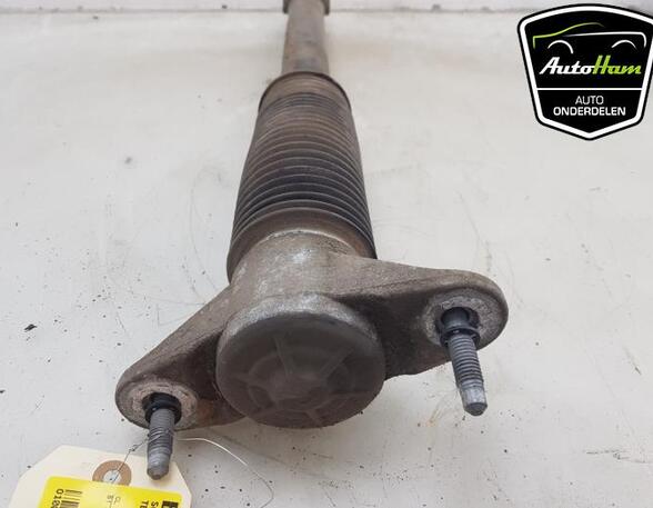 Shock Absorber TESLA MODEL 3 (5YJ3)