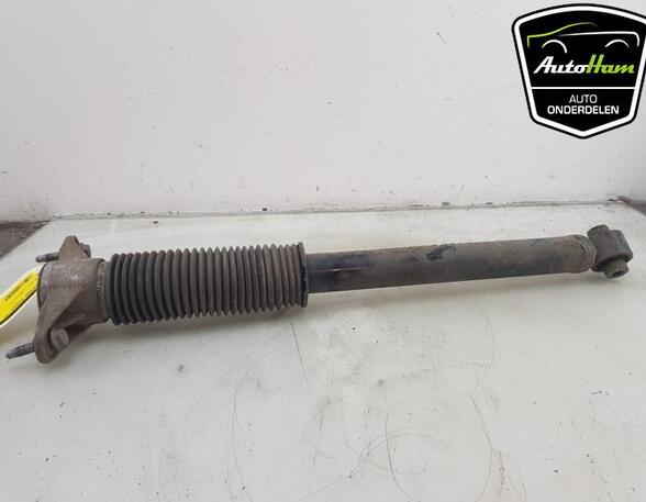 Shock Absorber TESLA MODEL 3 (5YJ3)