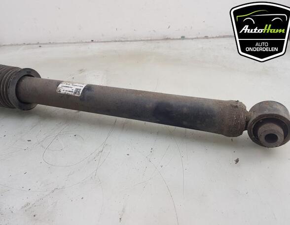 Shock Absorber TESLA MODEL 3 (5YJ3)