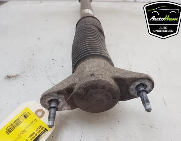 Shock Absorber TESLA MODEL 3 (5YJ3)