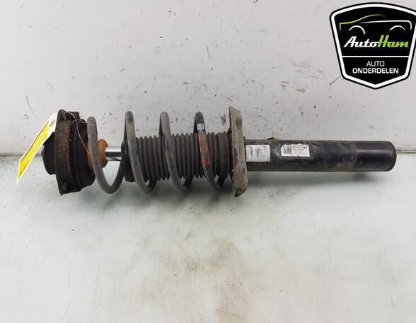 Shock Absorber VW GOLF V (1K1), VW GOLF VI (5K1), VW GOLF VAN VI Variant (AJ5), VW GOLF VI Van (5K1_)