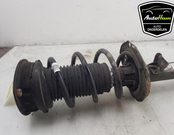 Shock Absorber SEAT LEON (KL1)