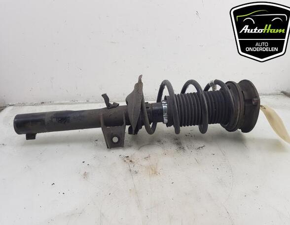 Shock Absorber SEAT LEON (KL1)