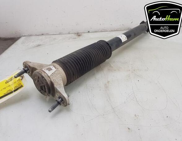 Shock Absorber TESLA MODEL 3 (5YJ3)