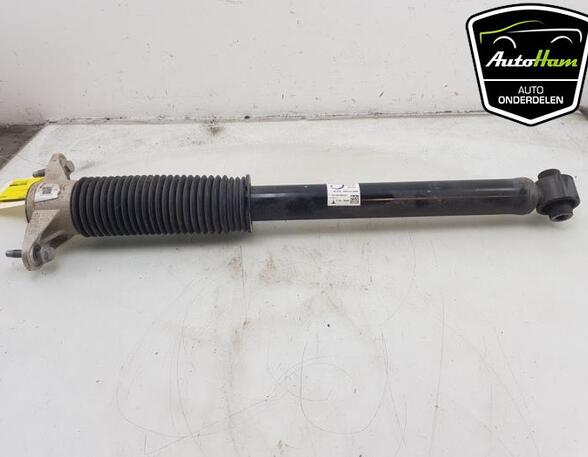 Shock Absorber TESLA MODEL 3 (5YJ3)