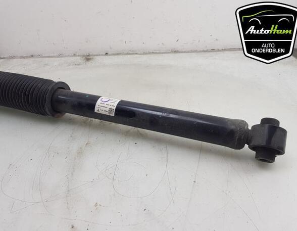 Shock Absorber TESLA MODEL 3 (5YJ3)