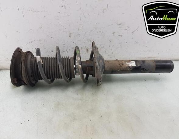 Shock Absorber SEAT LEON ST (5F8), SEAT LEON (5F1), SEAT LEON SC (5F5)