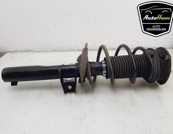 Shock Absorber SKODA OCTAVIA IV Combi (NX5), SKODA OCTAVIA IV (NX3, NN3)