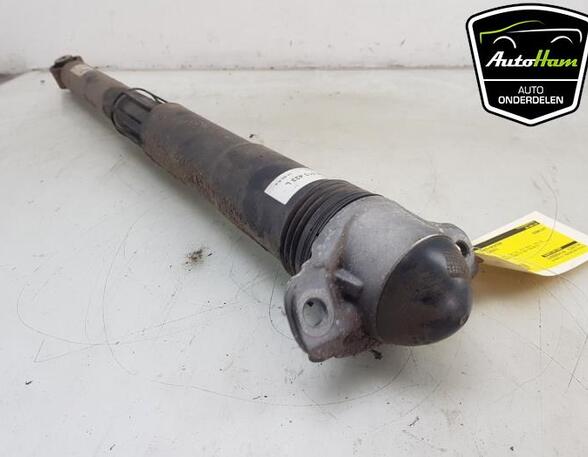 Shock Absorber SKODA OCTAVIA IV Combi (NX5)