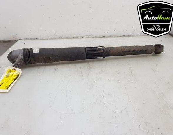 Shock Absorber SKODA OCTAVIA IV Combi (NX5)