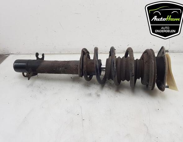 Shock Absorber MINI MINI COUNTRYMAN (R60), MINI MINI CLUBVAN (R55)