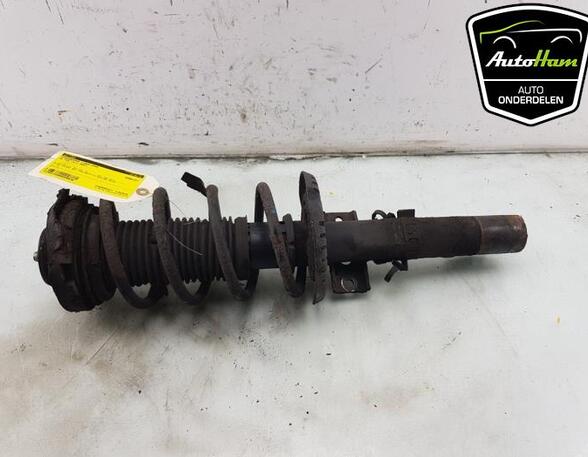 Shock Absorber VW FOX Hatchback (5Z1, 5Z3, 5Z4), SEAT IBIZA III (6L1), SEAT CORDOBA (6L2)