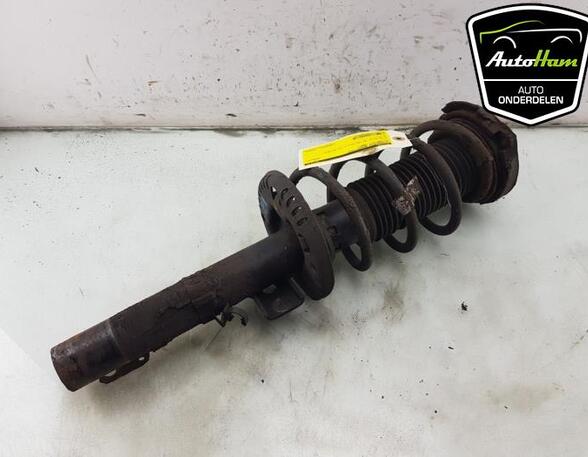 Shock Absorber VW FOX Hatchback (5Z1, 5Z3, 5Z4), SEAT IBIZA III (6L1), SEAT CORDOBA (6L2)