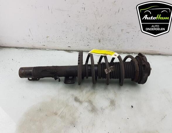 Shock Absorber VW FOX Hatchback (5Z1, 5Z3, 5Z4), SEAT IBIZA III (6L1), SEAT CORDOBA (6L2)