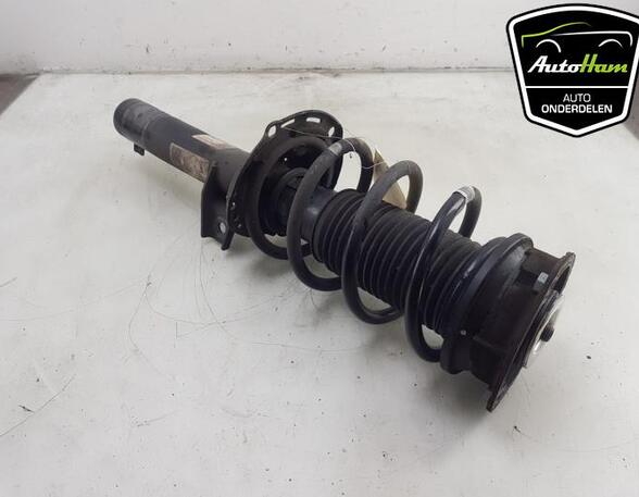 Shock Absorber SKODA KODIAQ (NS7, NV7, NS6)