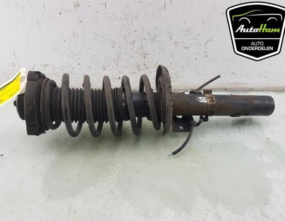 Shock Absorber SKODA FABIA I Combi (6Y5), SKODA FABIA I (6Y2)