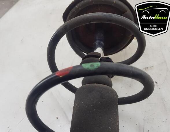 Shock Absorber RENAULT CLIO II (BB_, CB_)