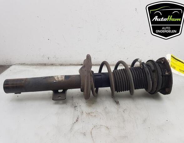 Shock Absorber SEAT IBIZA V (KJ1, KJG)