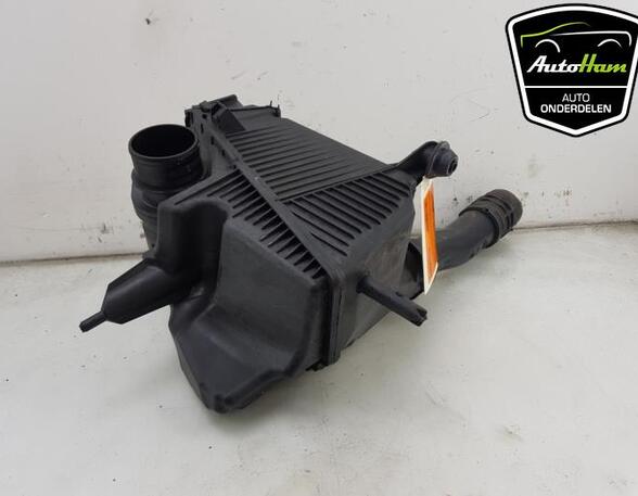 Luftfiltergehäuse Renault Kangoo II - Grand Kangoo KW0 8200788196 P18754384